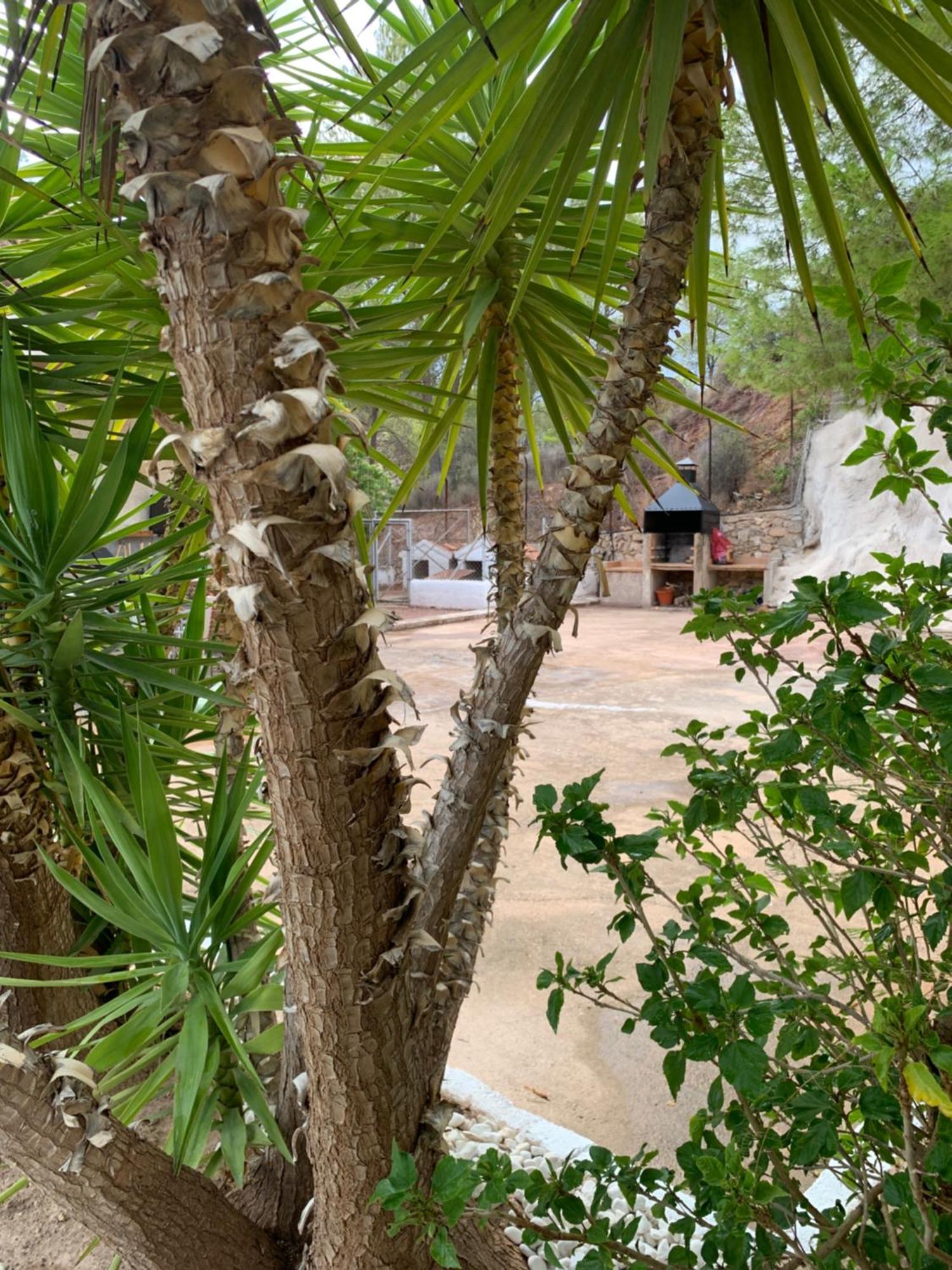فيلا La Casa De La Fuensanta مرسية المظهر الخارجي الصورة