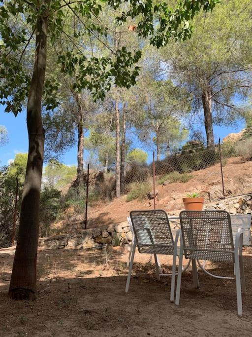 فيلا La Casa De La Fuensanta مرسية المظهر الخارجي الصورة